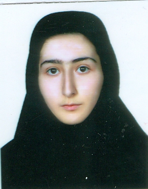 سید احسان هندی