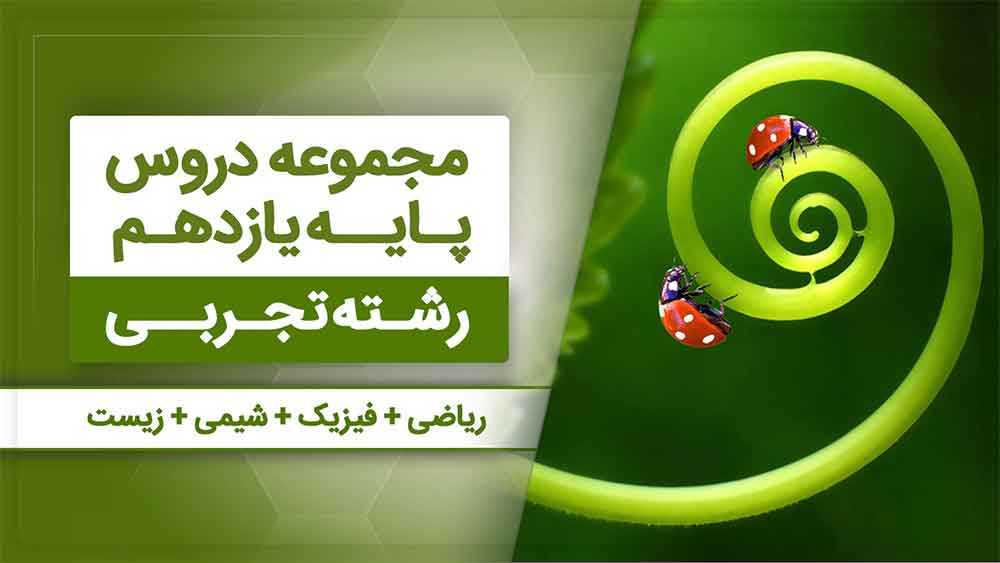 بسته همه درس هام - یازدهم تجربی