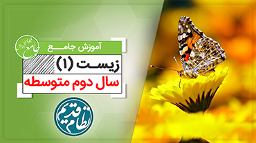 آموزش جامع زیست پایه 1 سال دوم دبیرستان (کنکور نظام قدیم)