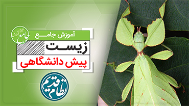 آموزش جامع زیست پیش دانشگاهی (کنکور نظام قدیم)
