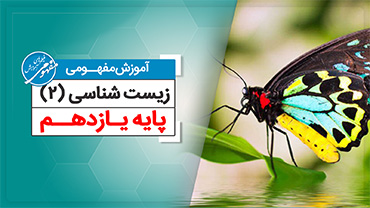 آموزش مفهومی زیست یازدهم (متوسطه دوم)