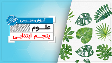 آموزش مفهومی علوم پنجم (ابتدایی)