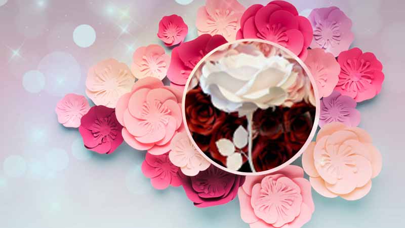 آموزش گل دکوراتیو